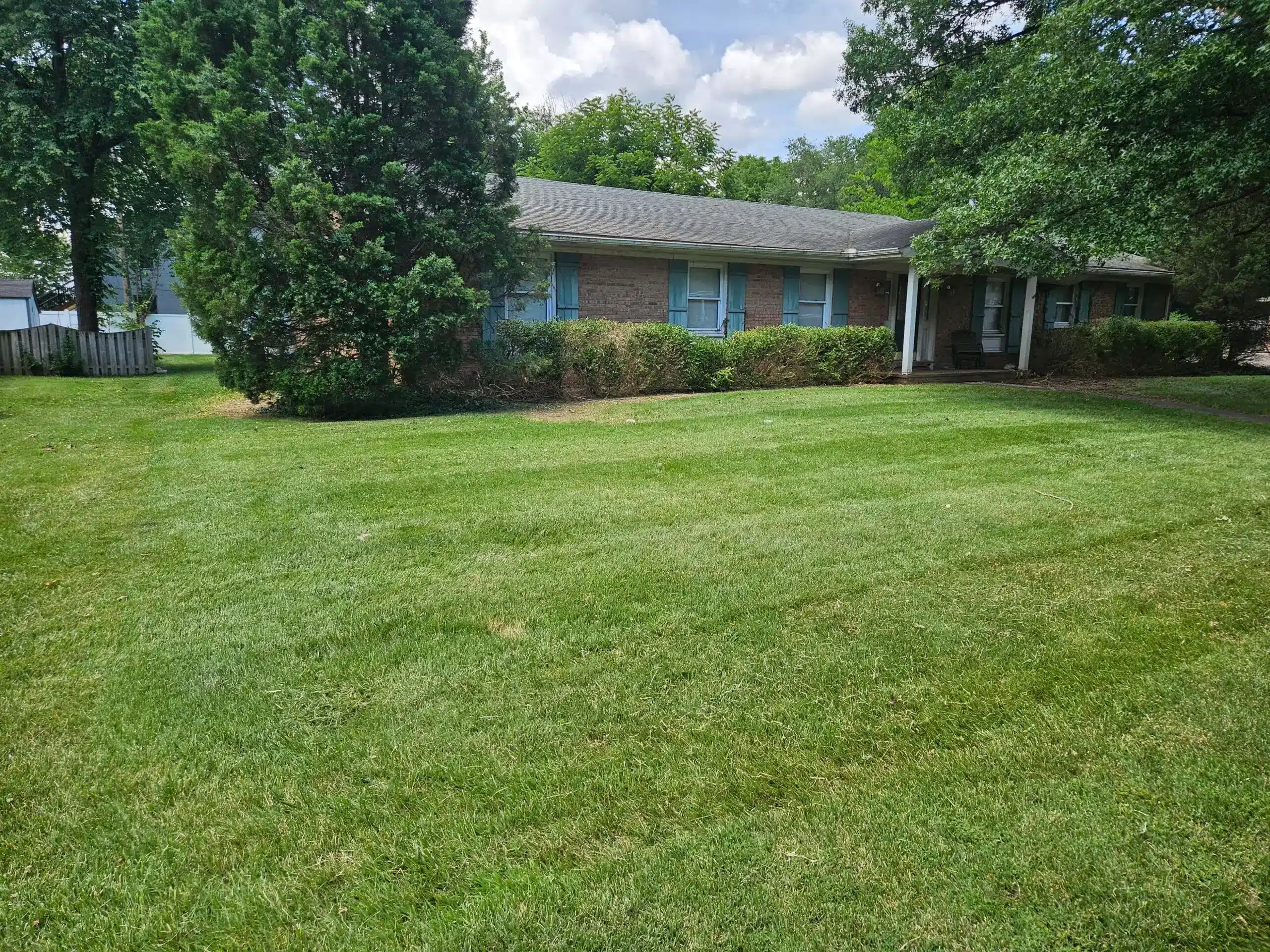 Freshly mowed yard after completed lawn care