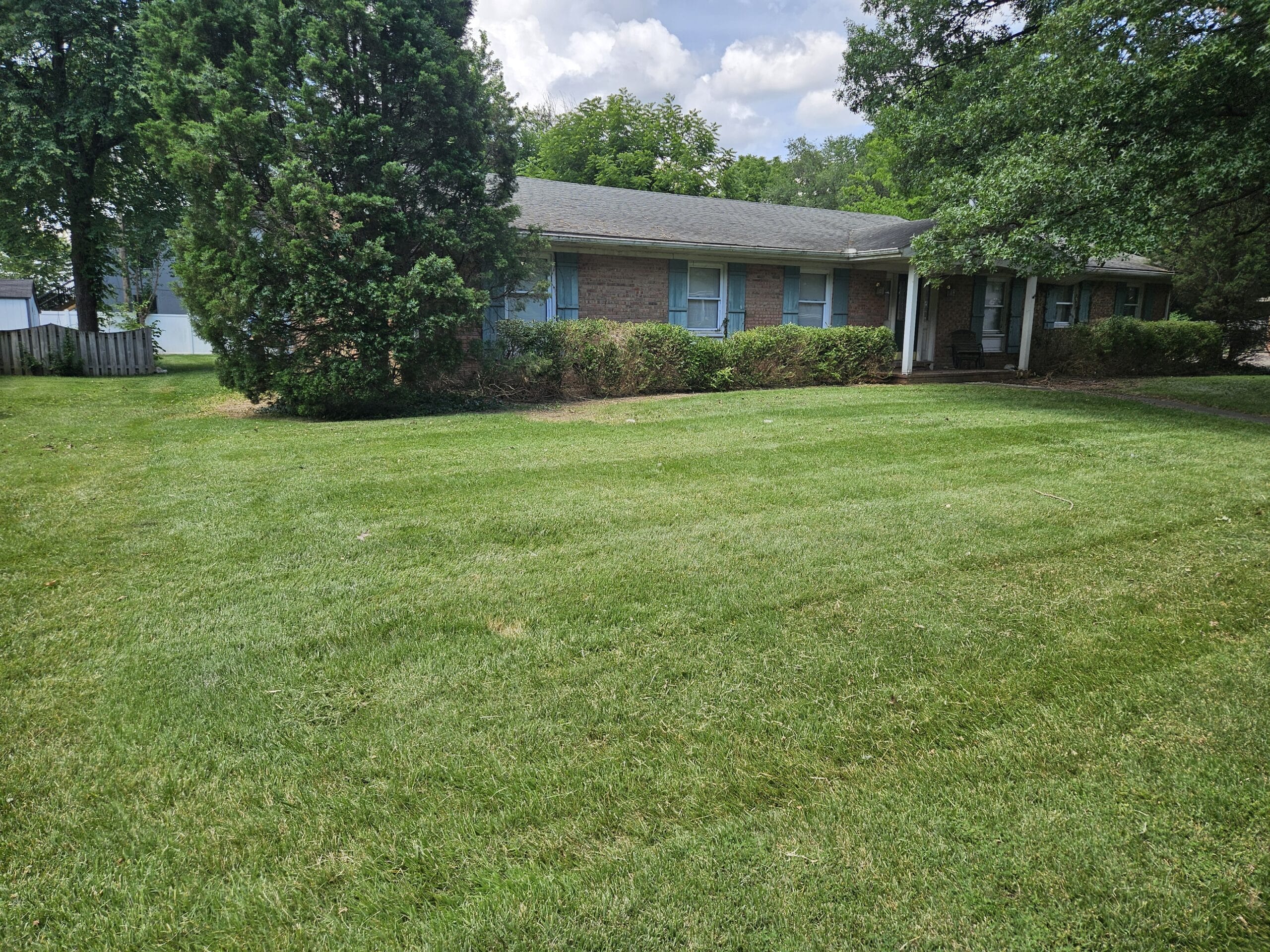 Lawn care service photo